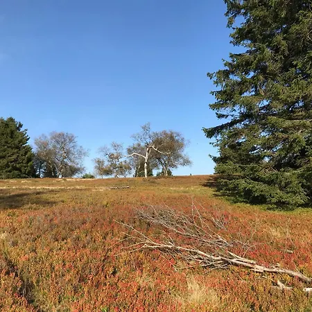 Apartment Welcome + Terrasse