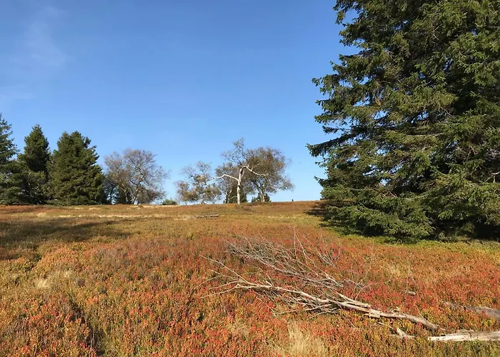 Apartment Welcome + Terrasse